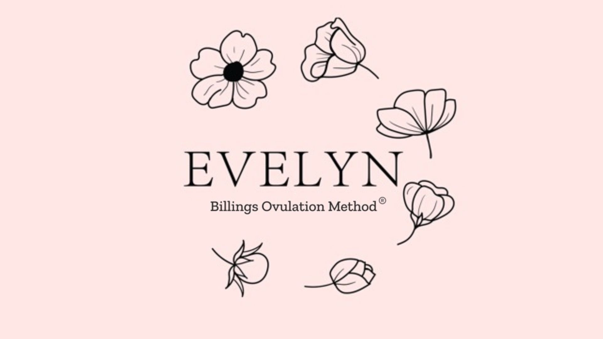 evelyn billings app naslovna