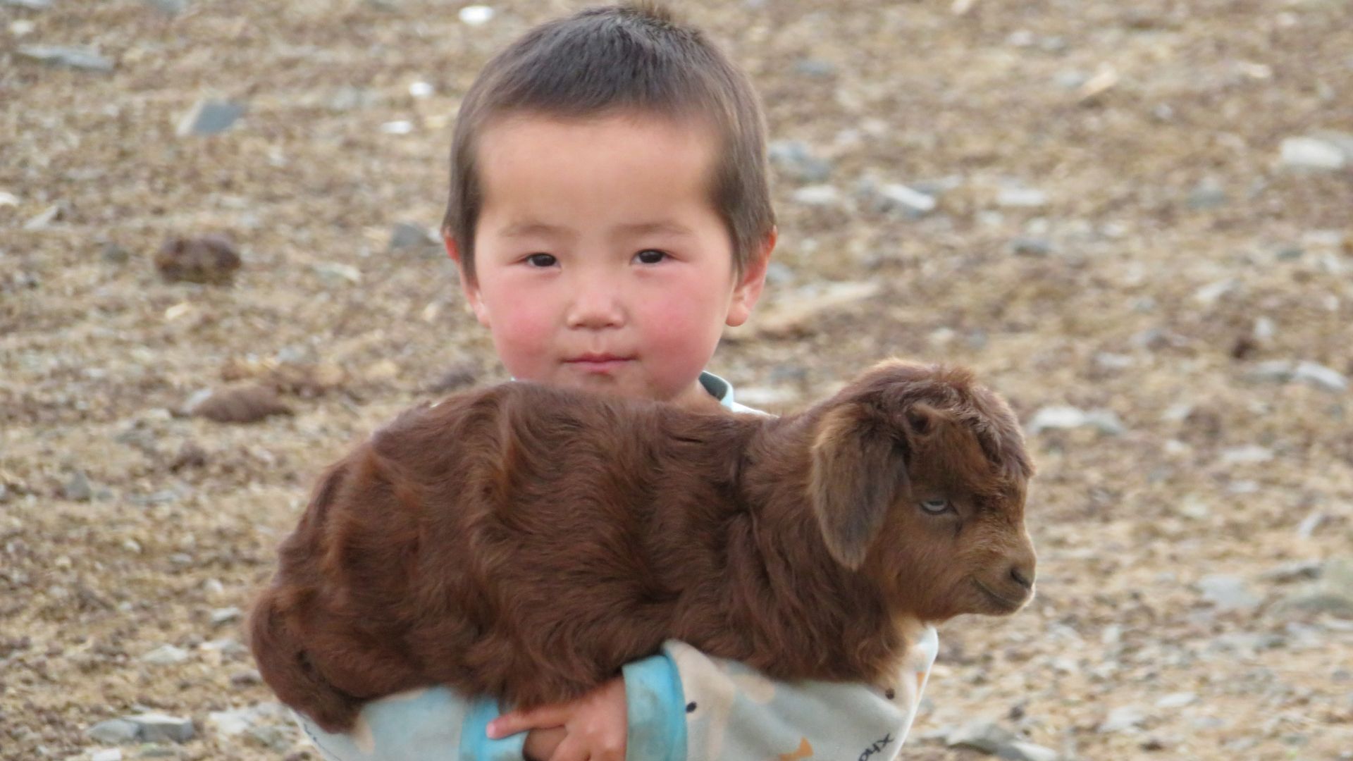 mongolija dijete pastirić naslovna