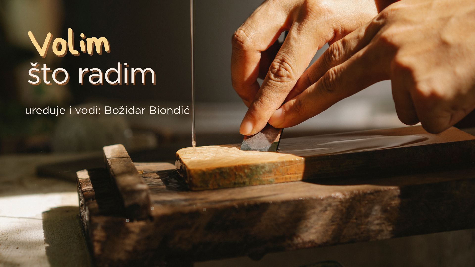 volim sto radim biondic 2