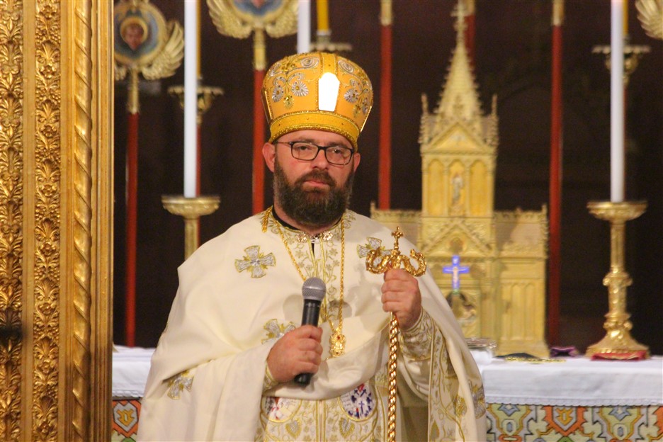vladika stipić