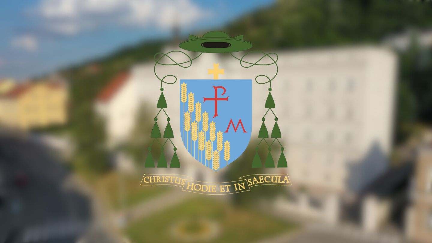 Pozeska biskupija opcenito